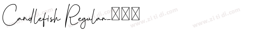 Candlefish Regular字体转换